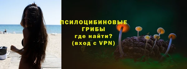 экстази Алексин