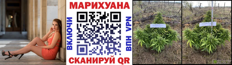 МАРИХУАНА White Widow  Коряжма 